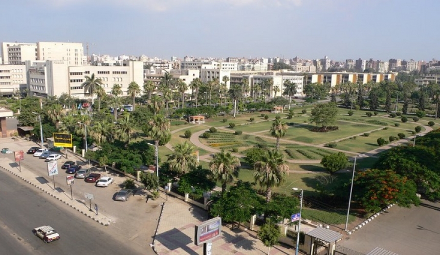 جامعة المنصورة جامعة المنصورة
