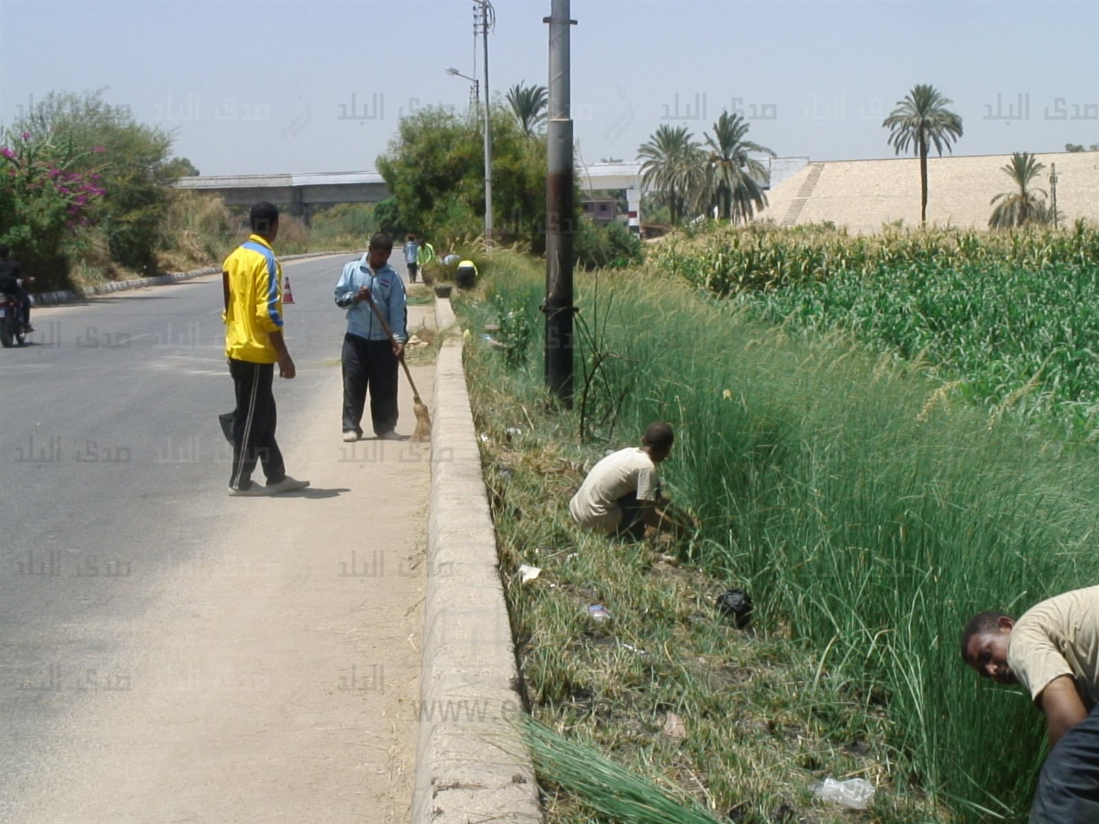 مبادرة"حلوة يا بلدي"بقنا