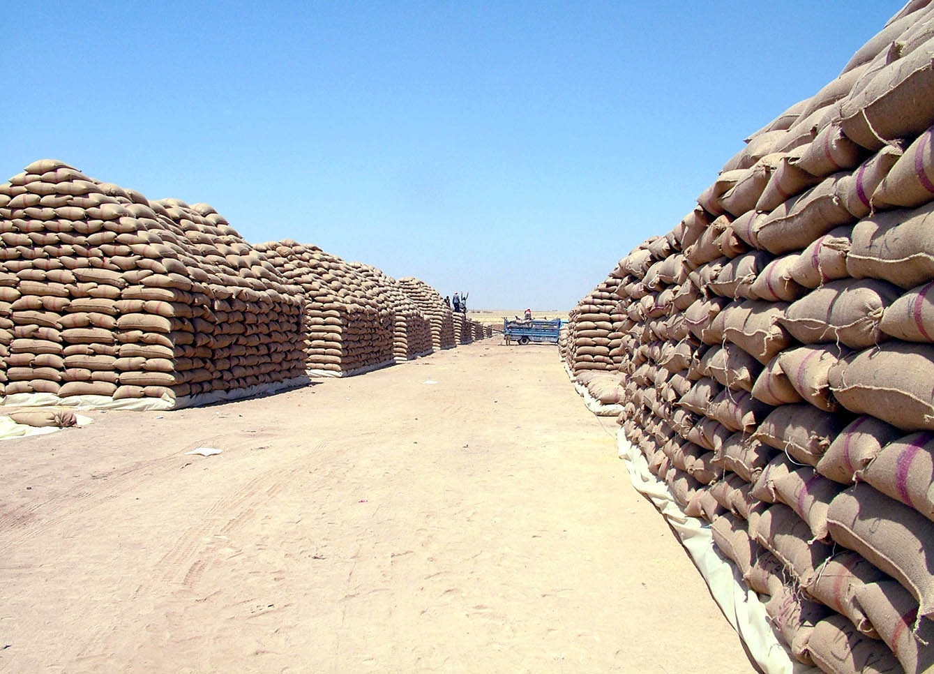 صورة ارشيفية صورة ارشيفية