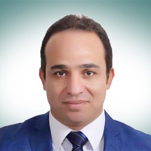 نائب بولاق الدكرور محمد إسماعيل نائب بولاق الدكرور محمد إسماعيل