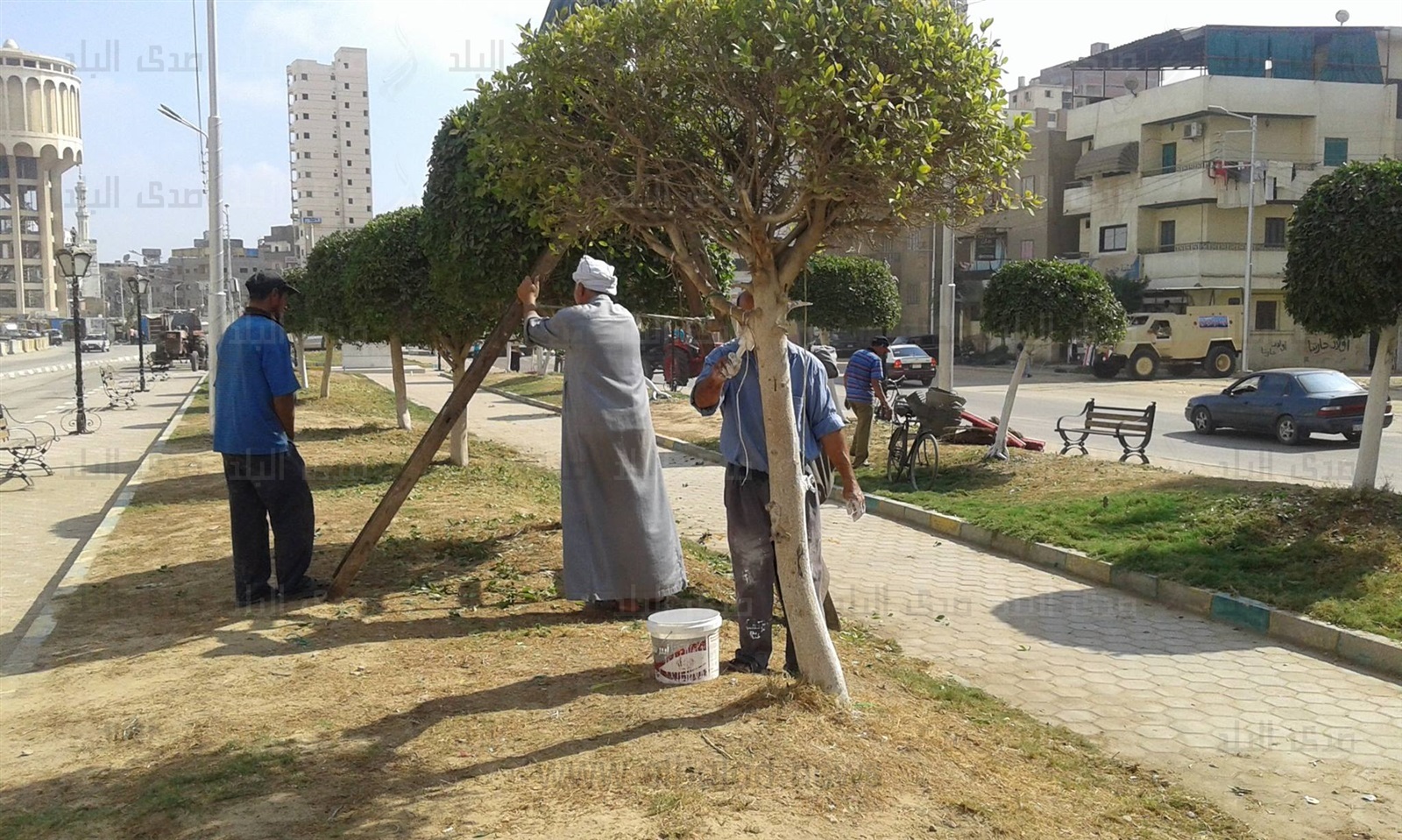«حلوة يا بلدي» بالدقهلية