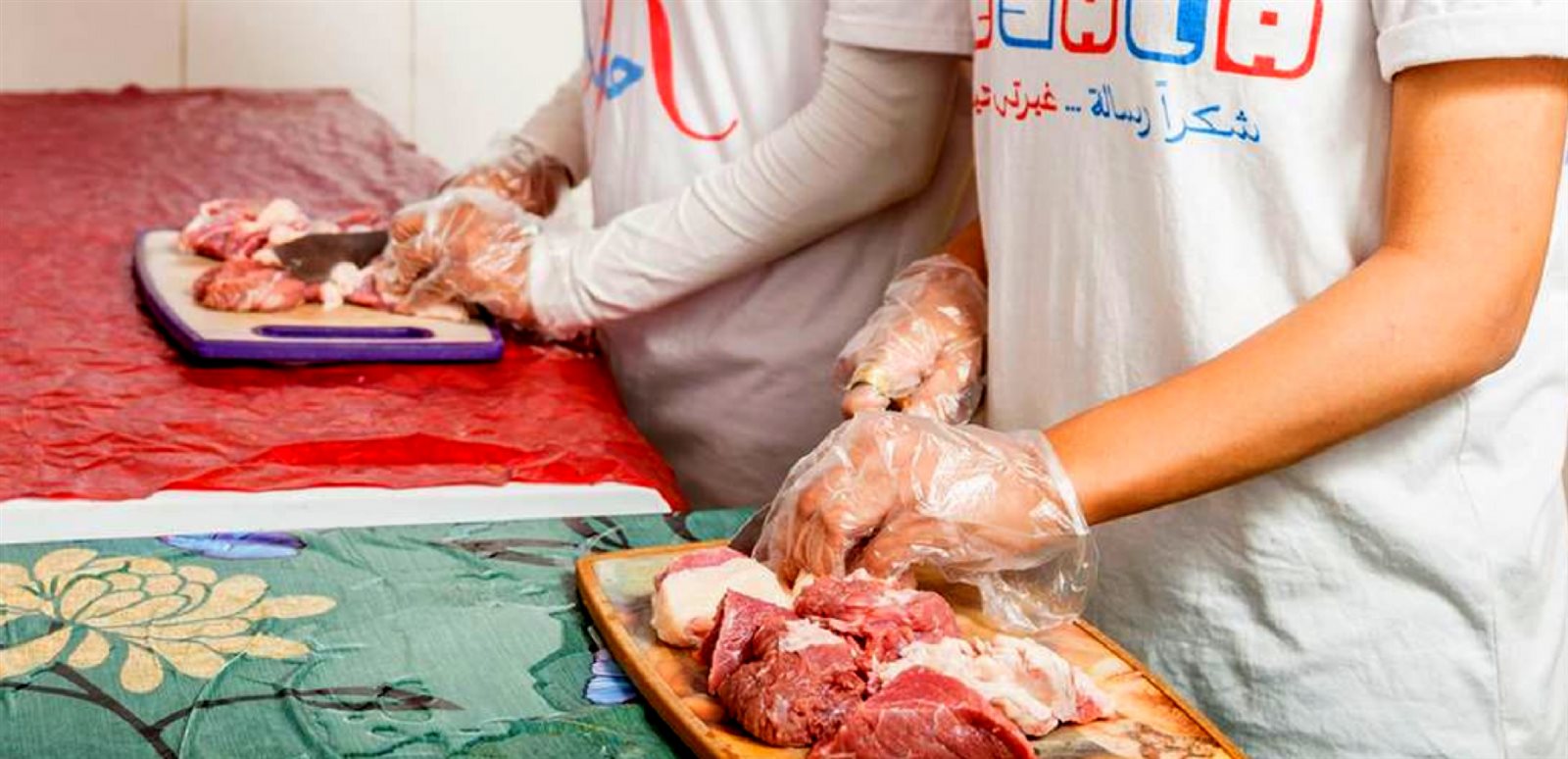 مفتي الديار المصرية