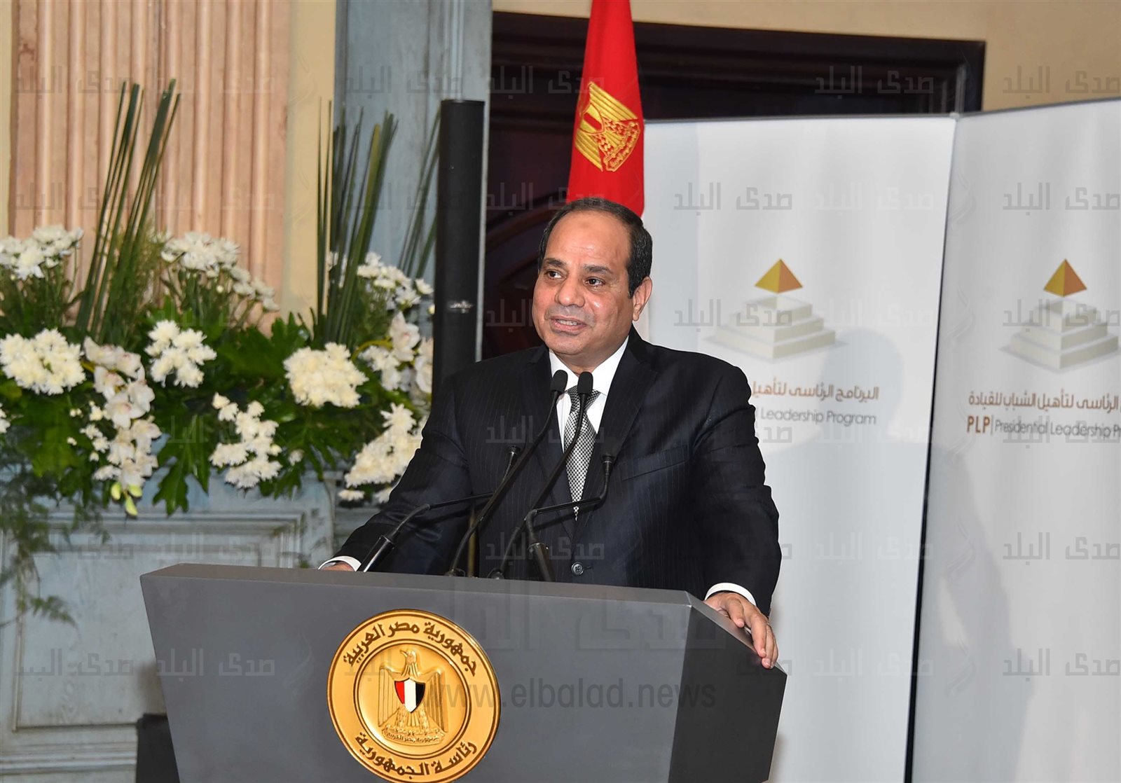 السيسي السيسي