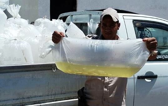 ضبط 105 كيس زريعة أسماك و3 لنشات مخالفة بكفرالشيخ 