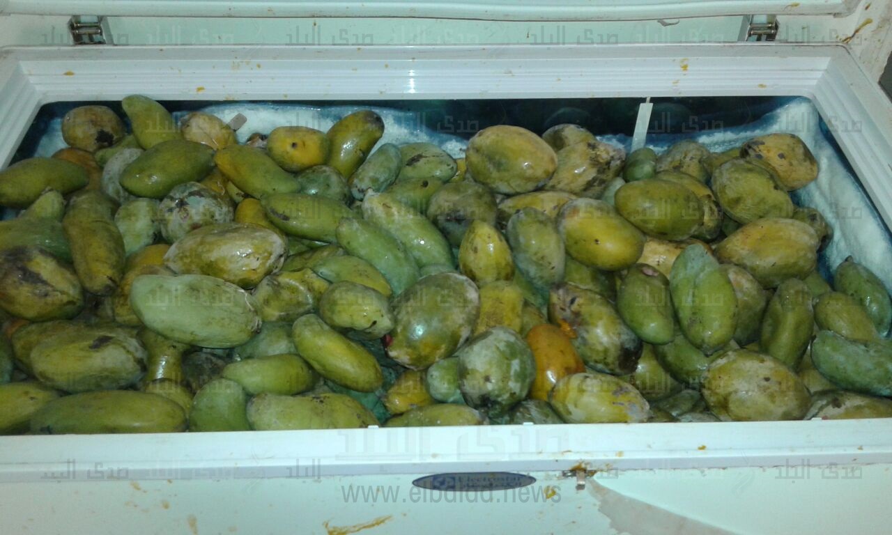 صورة  فاكهة غير صالحة