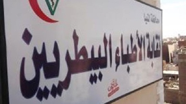 أرشيفية أرشيفية