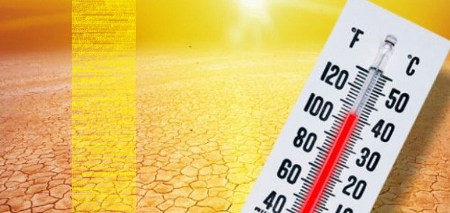 صورة ارشيفية صورة ارشيفية