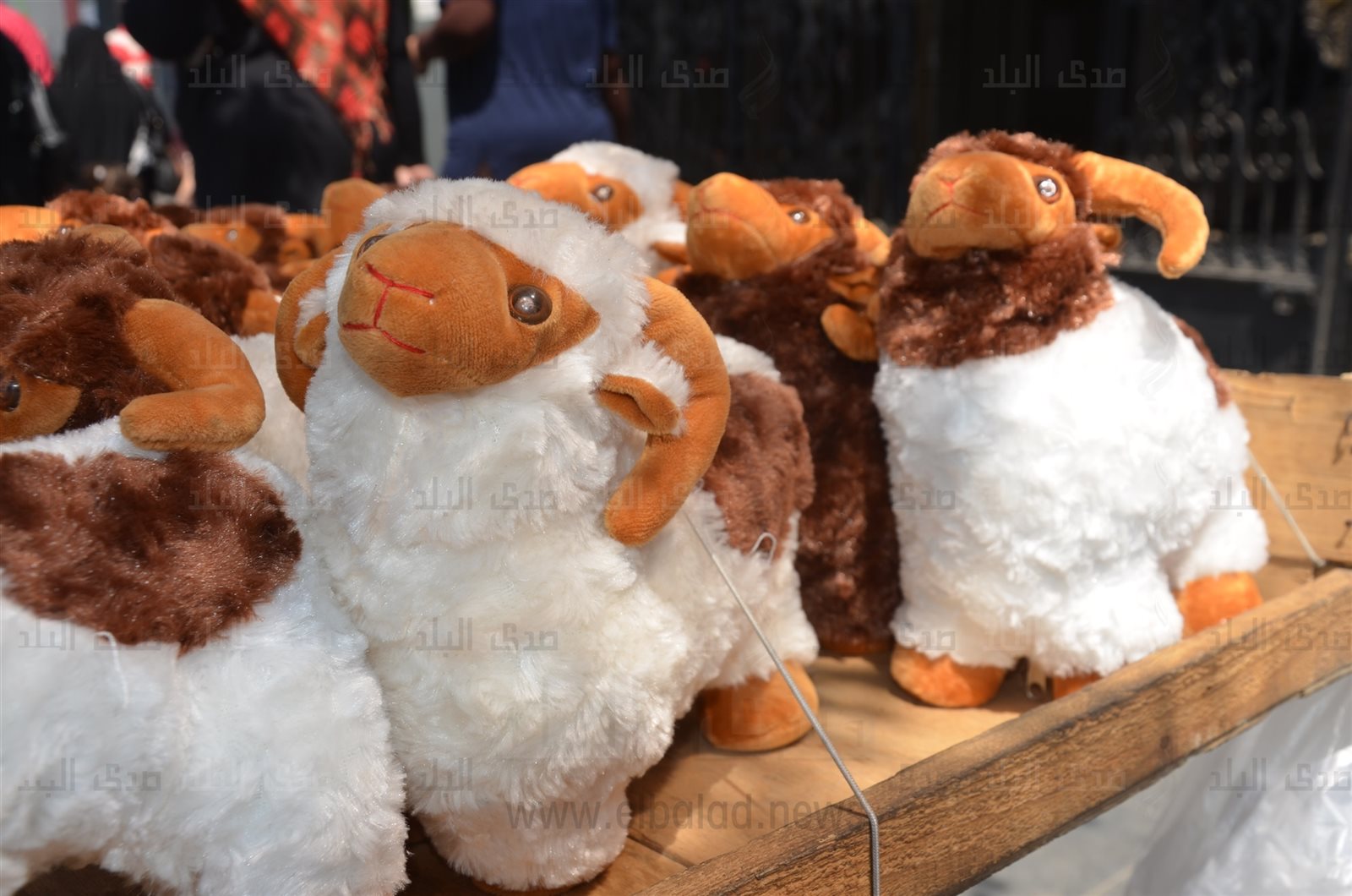 الخروف الصيني