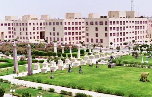 7 طلاب من جامعة أكتوبر للعلوم يشاركون بمؤتمر طبى فى بولندا 7 طلاب من جامعة أكتوبر للعلوم يشاركون بمؤتمر طبى فى بولندا