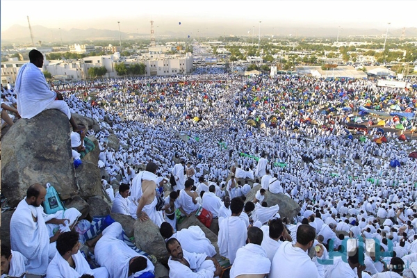 الحجاج الحجاج