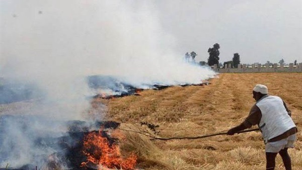 صورة ارشيفية صورة ارشيفية