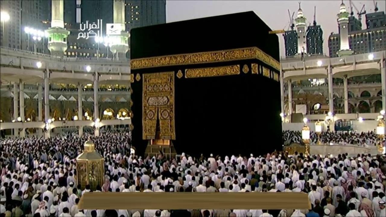 ارشيفية