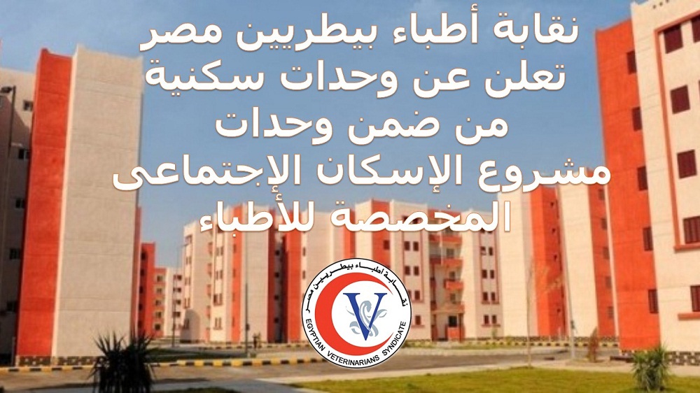 صورة من الحدث صورة من الحدث