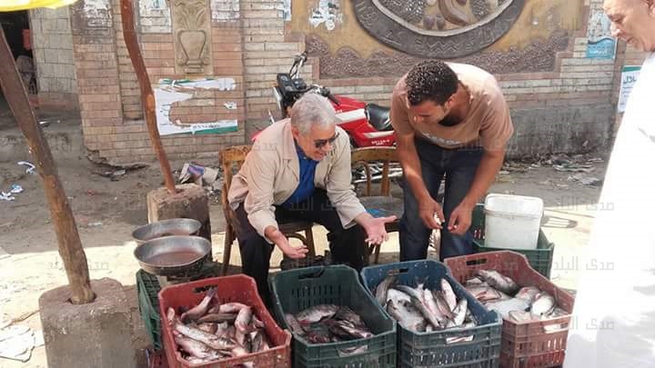 حمدين صباحي