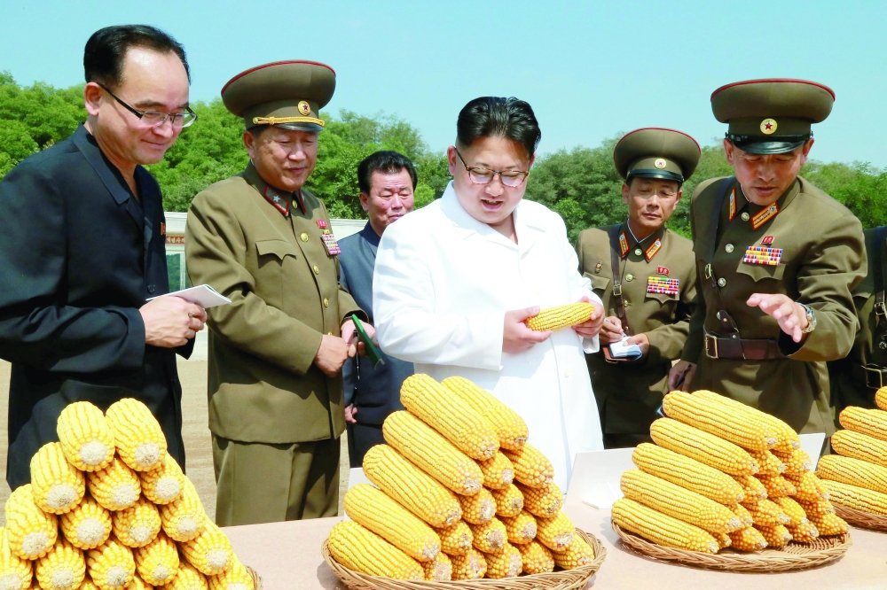 صورة ارشيفية