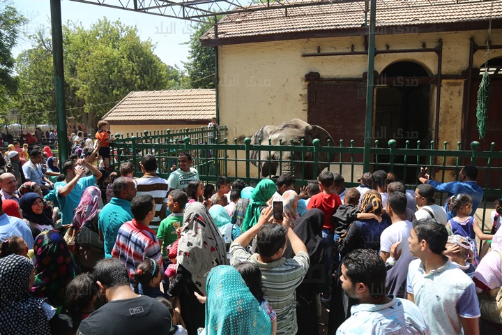 حديقة الحيوان