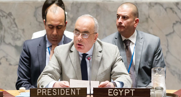 السفير عمرو أبو العطا