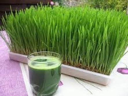 صورة ارشيفية صورة ارشيفية
