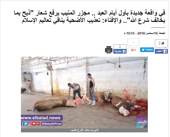 صورة من الحدث