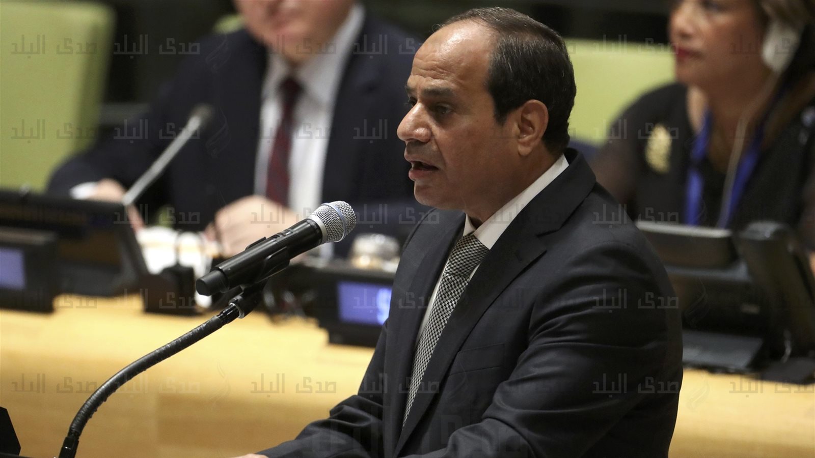 الرئيس عبد الفتاح السيسي 