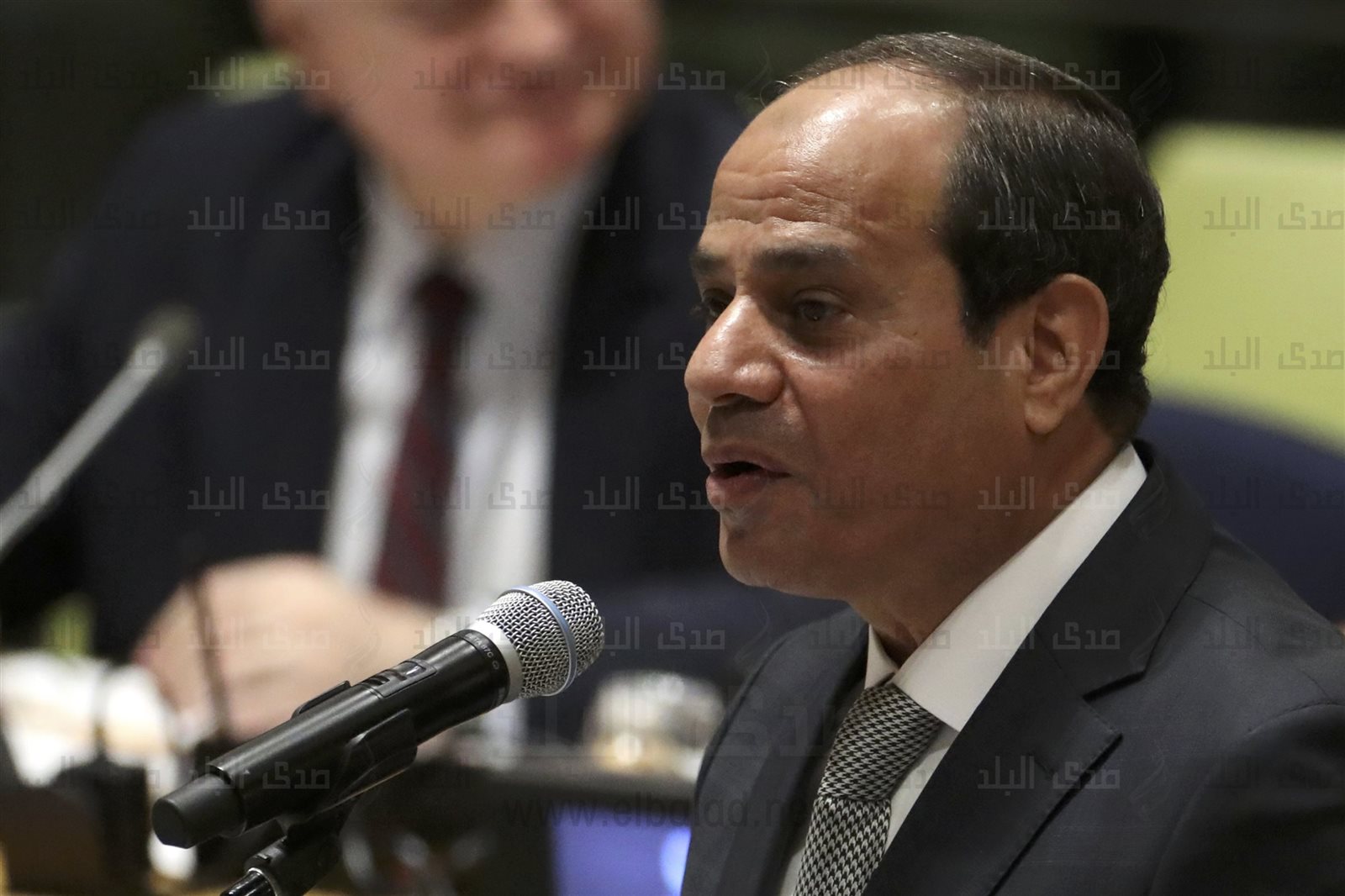 الرئيس عبد الفتاح السيسي، الرئيس عبد الفتاح السيسي،