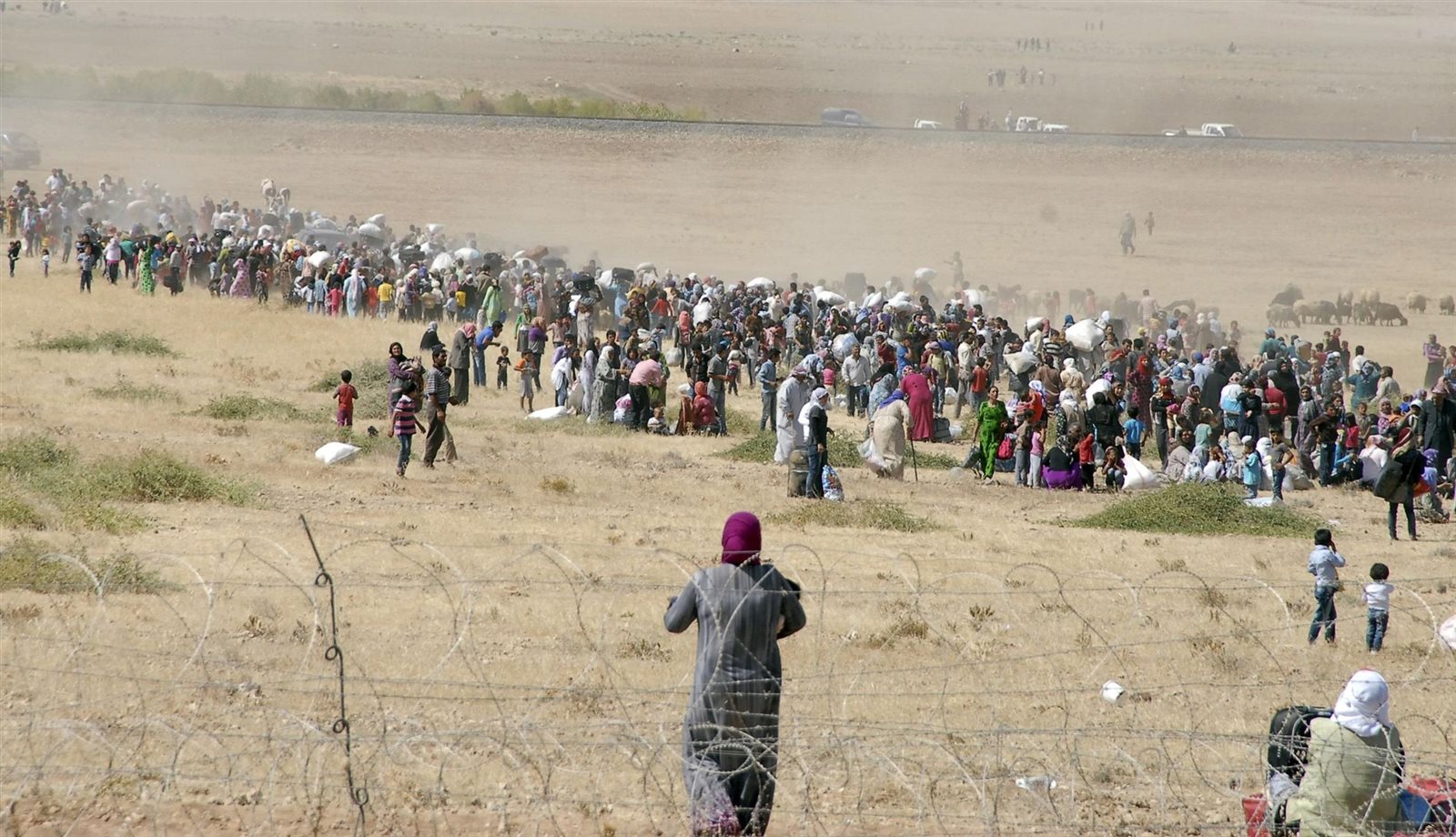 صورة ارشيفية صورة ارشيفية
