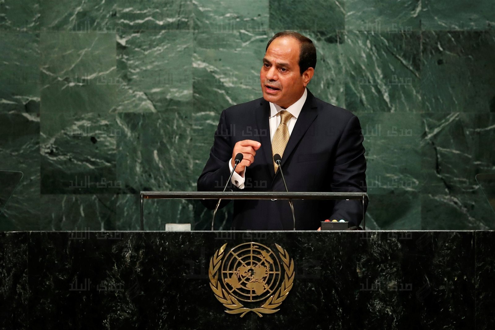 الرئيس عبد الفتاح السيسي الرئيس عبد الفتاح السيسي