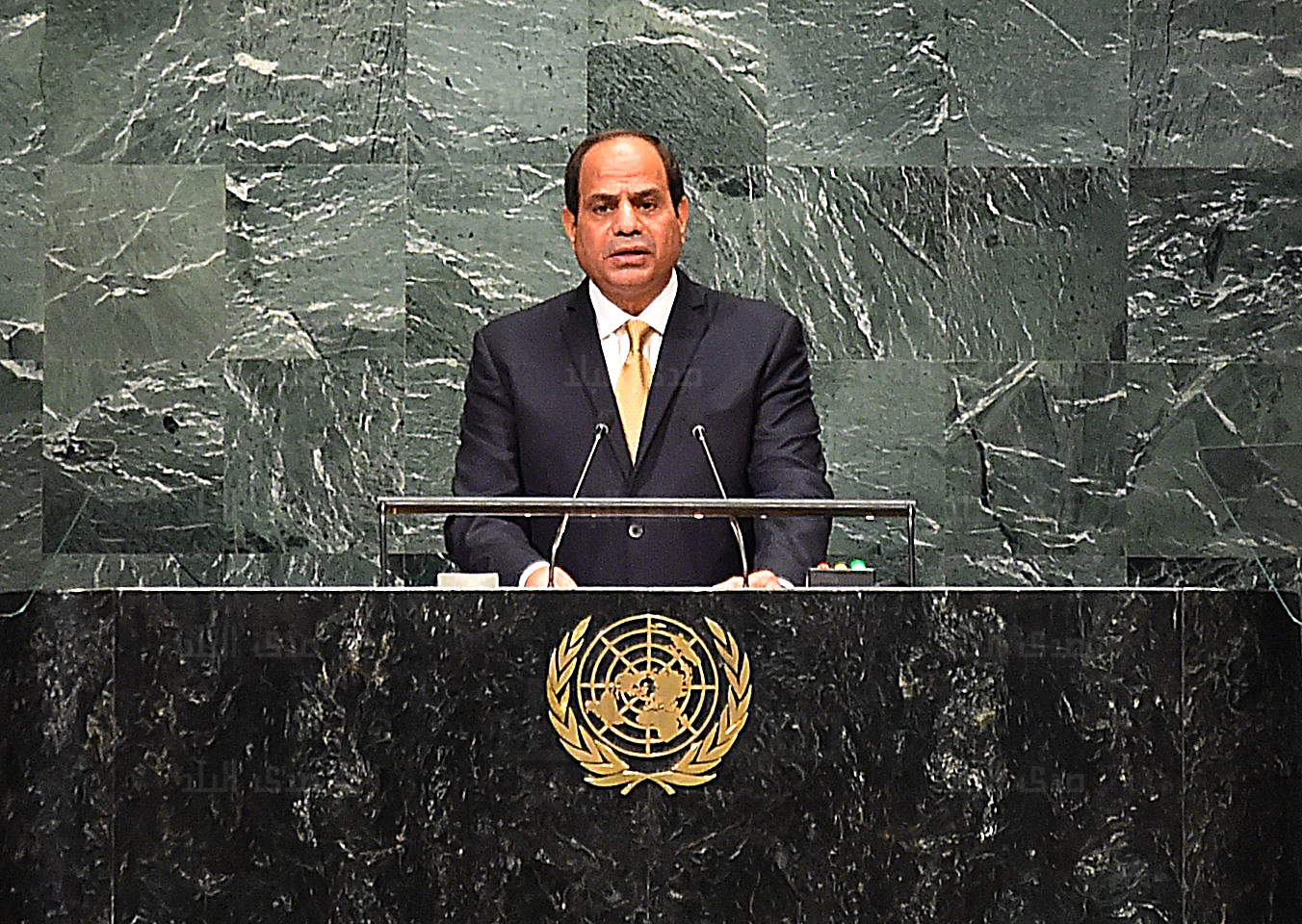 الرئيس عبد الفتاح السيسي،  الرئيس عبد الفتاح السيسي،