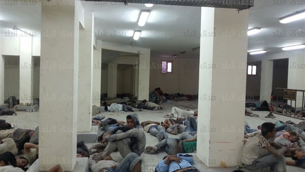 الناجين الناجين