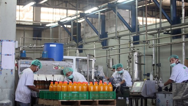  الشركة القابضة للصناعات الغذائية في مصر