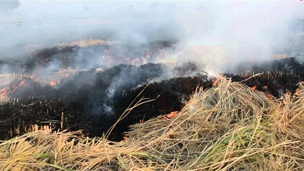 صورة ارشيفية صورة ارشيفية