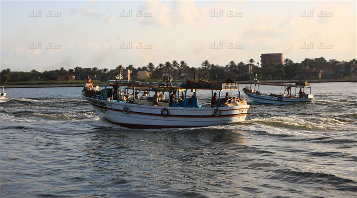 مركب رشيد
