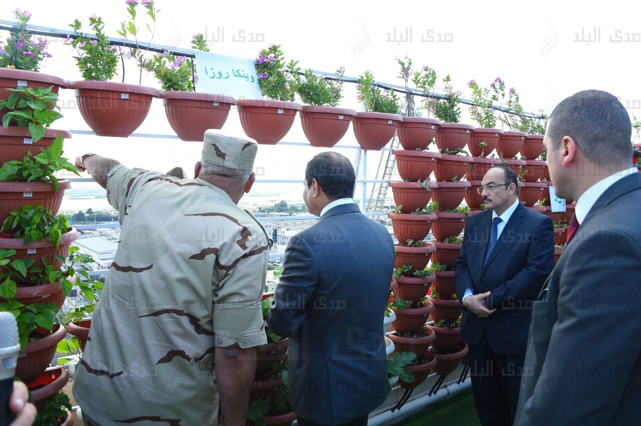 السيسي