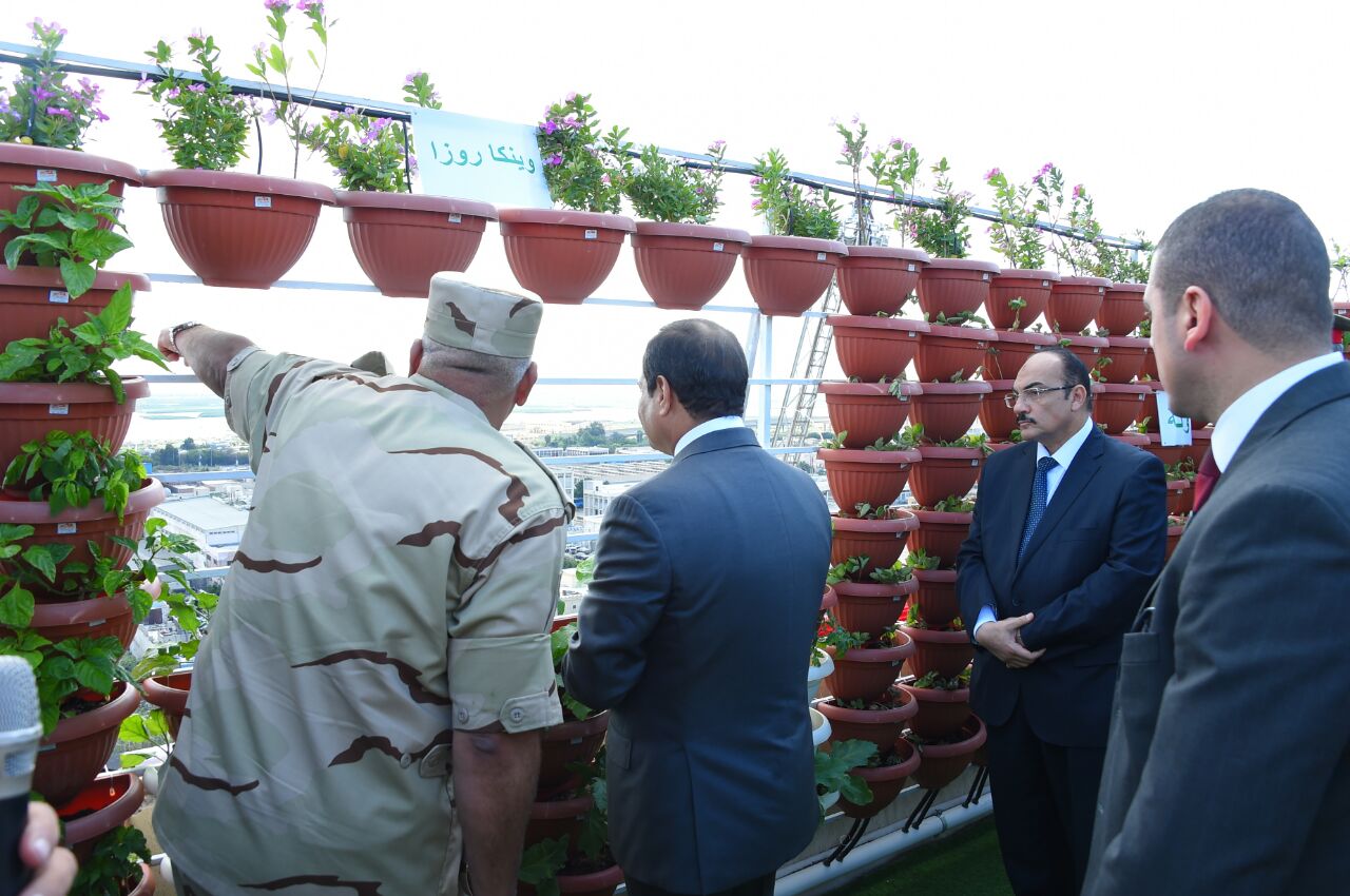 الرئيس عبد الفتاح السيسي