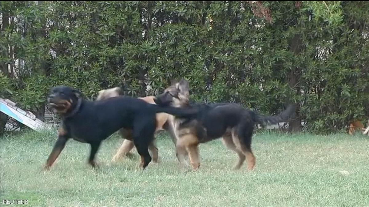 صورة ارشيفية