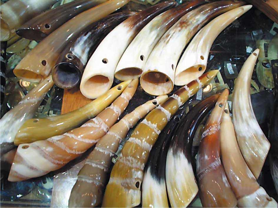 صورة ارشيفية صورة ارشيفية
