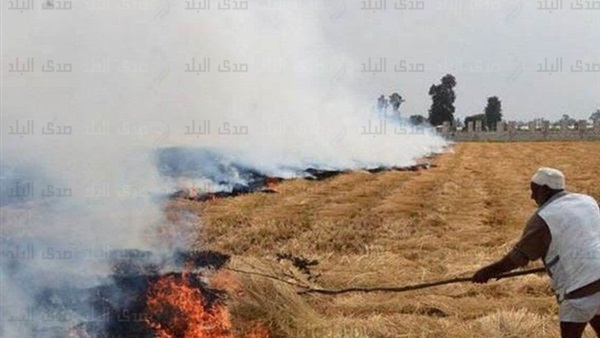 صورة ارشيفية صورة ارشيفية