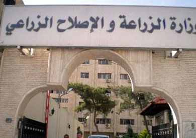 وزارة الزراعة وزارة الزراعة