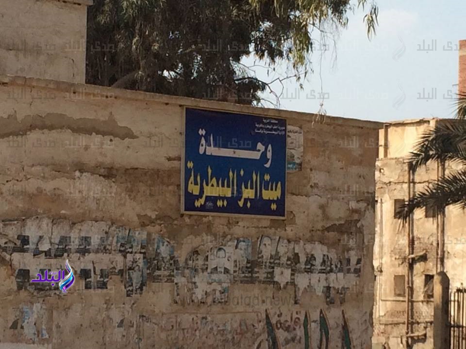 قرية «ميت البز» بالغربية قرية «ميت البز» بالغربية