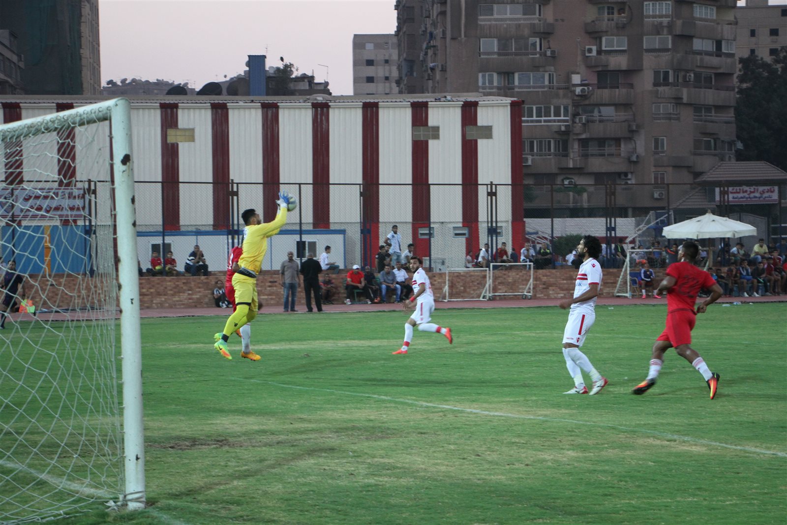 فريق سيراميكا كليوباترا فريق سيراميكا كليوباترا