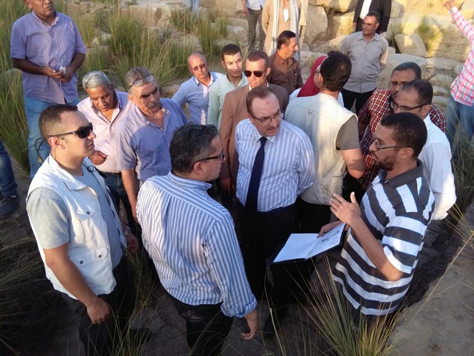 العناني يطالب بإزالة الحشائش من معبد رمسيس الثاني