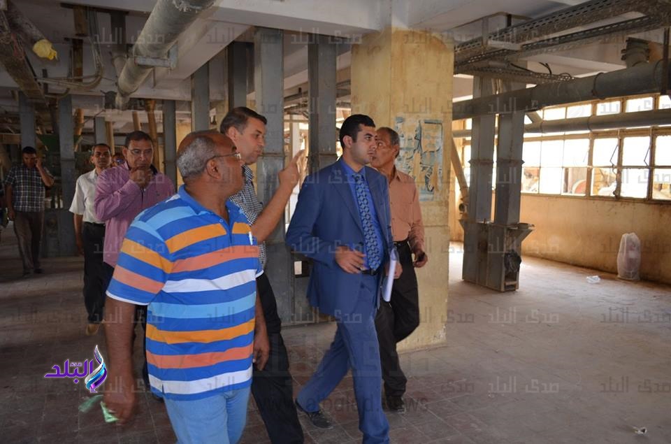  مضارب الأرز 