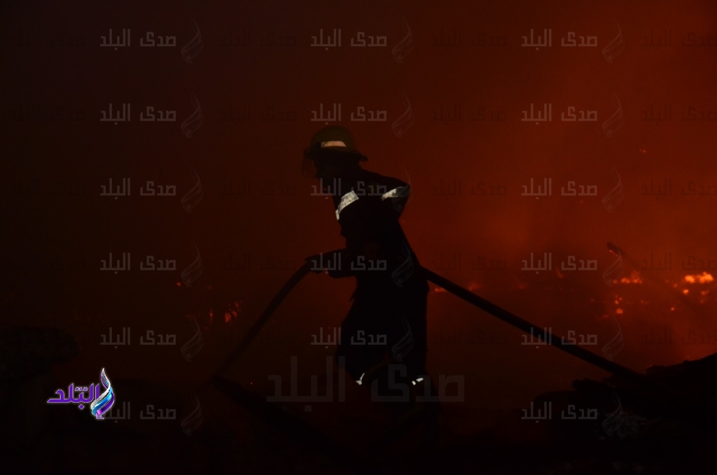 صورة أرشيفية صورة أرشيفية