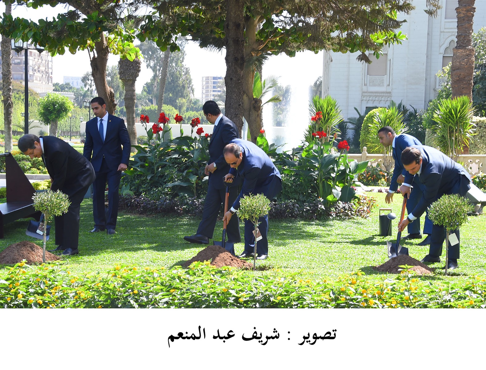 السيسي ونظيره القبرصي ورئيس وزراء اليونان يغرسون شجر الزيتون السيسي ونظيره القبرصي ورئيس وزراء اليونان يغرسون شجر الزيتون
