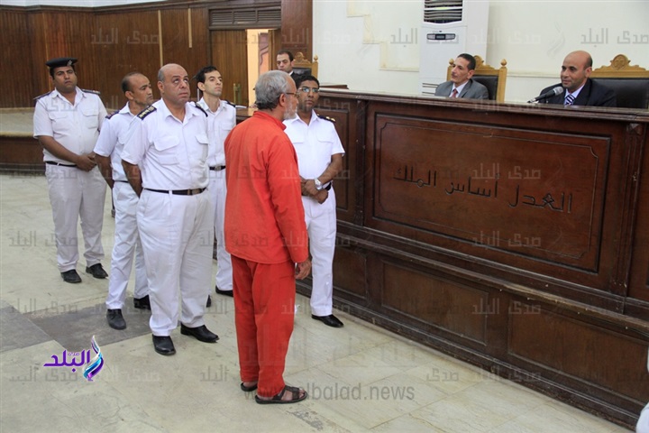محمد بديع محمد بديع