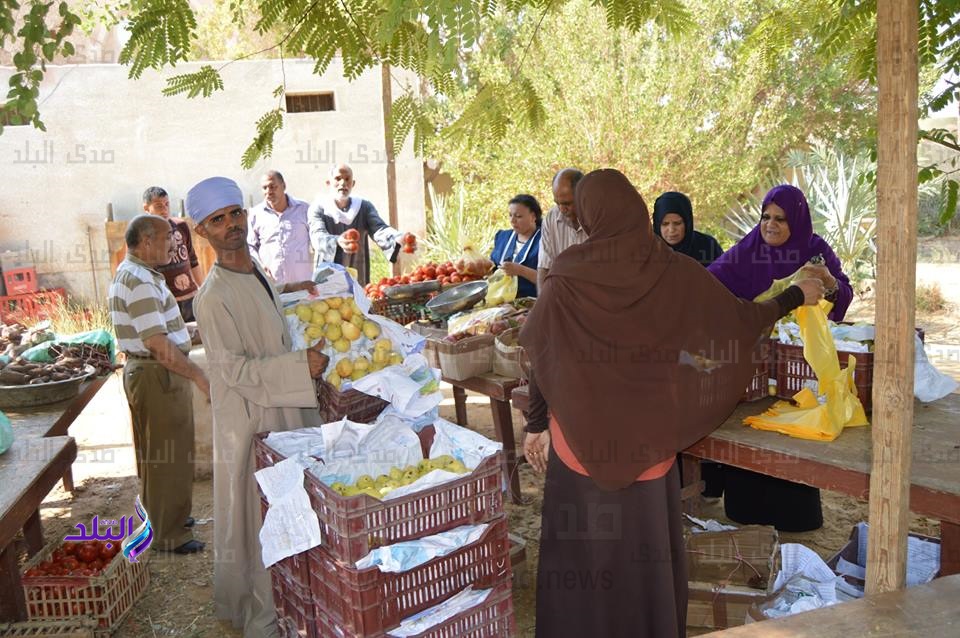 منفذ لبيع الخضر والفاكهة منفذ لبيع الخضر والفاكهة