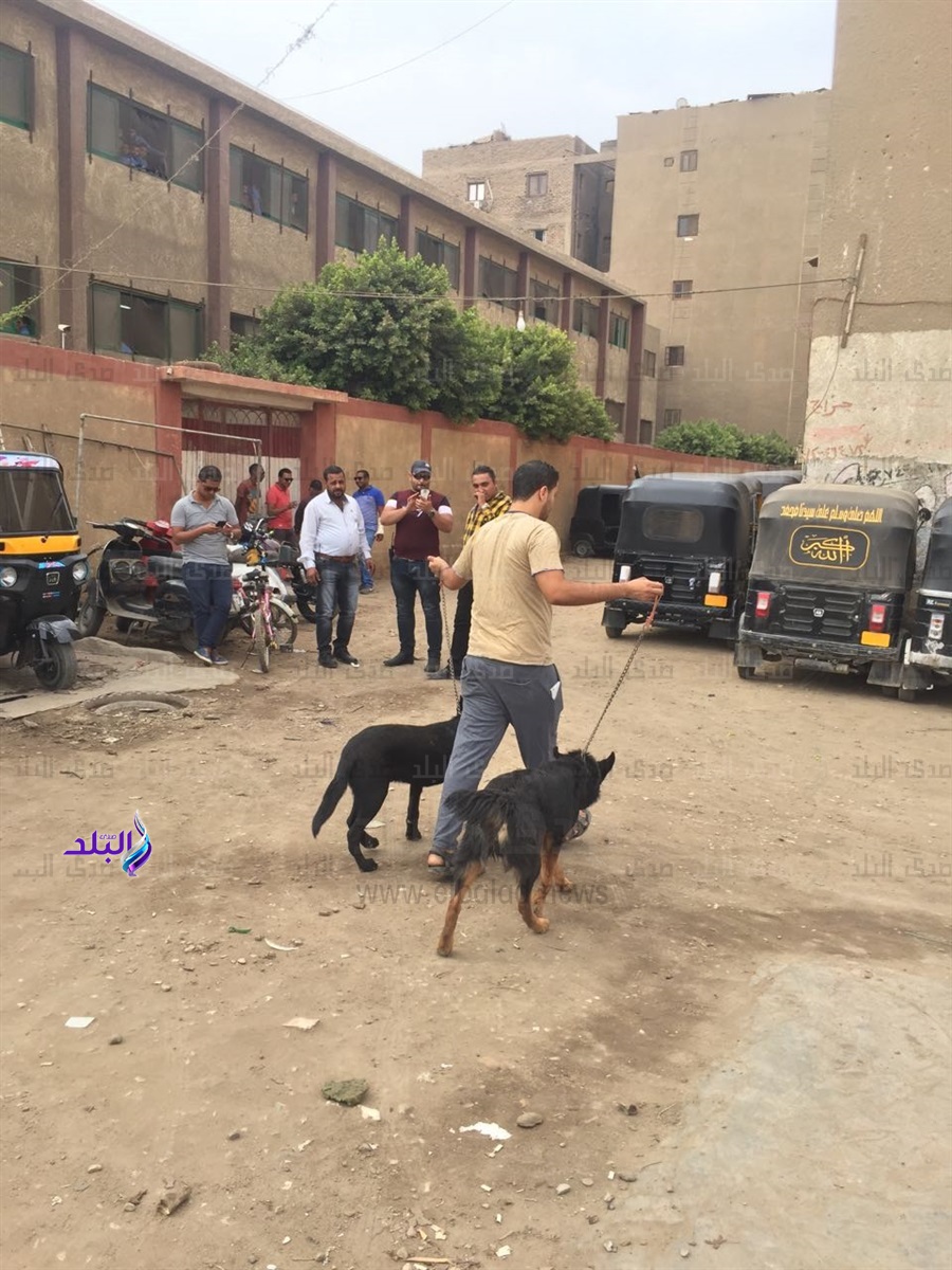 إخلاء ساحة من الكلاب والتكاتك إخلاء ساحة من الكلاب والتكاتك