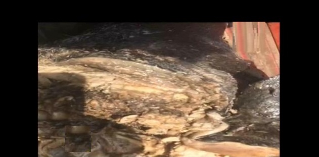 صورة من الحدث 