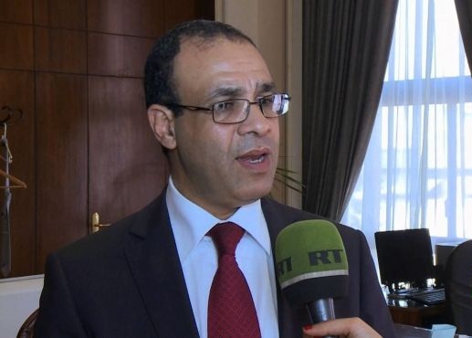 السفير الدكتور بدر عبد العاطي