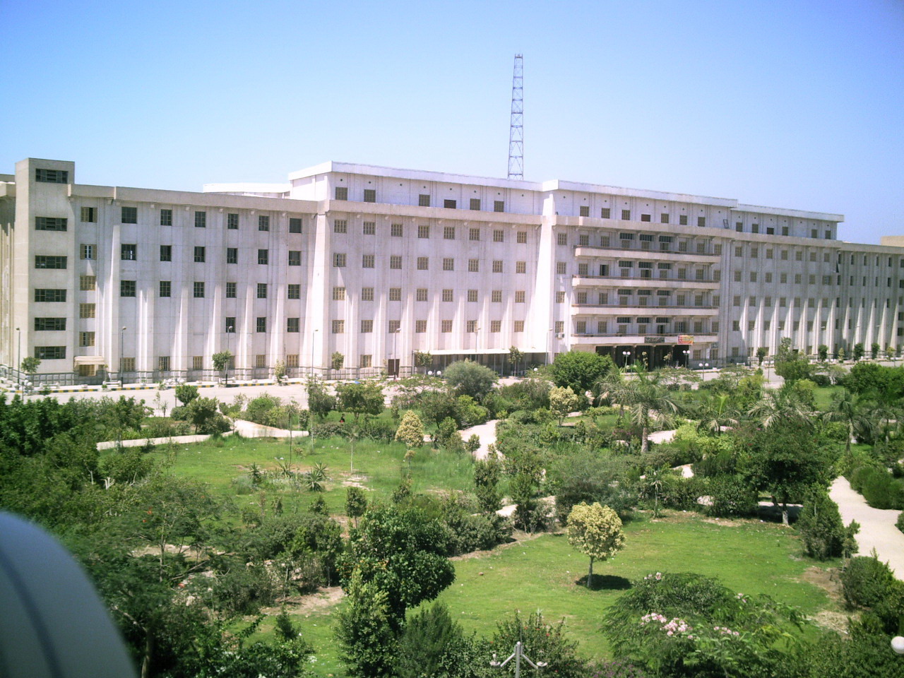 جامعة بني سويف جامعة بني سويف